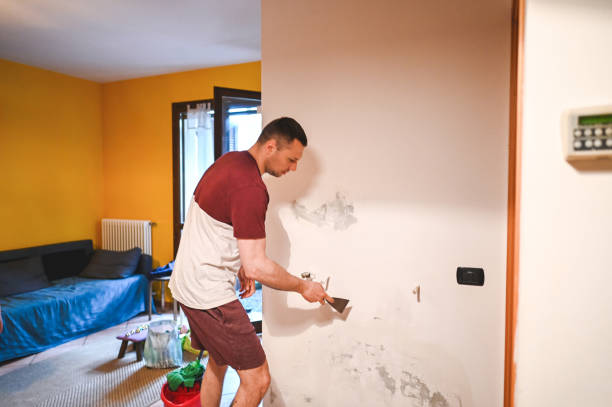 Best Industrial Mold Remediation in Rollingwood, CA